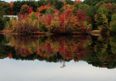 Fall Colors on The Lake